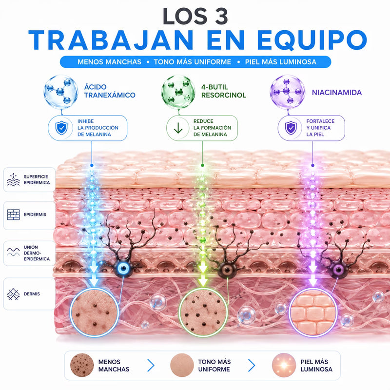 Por qué <strong>EVANISS sí le gana a la mancha</strong>